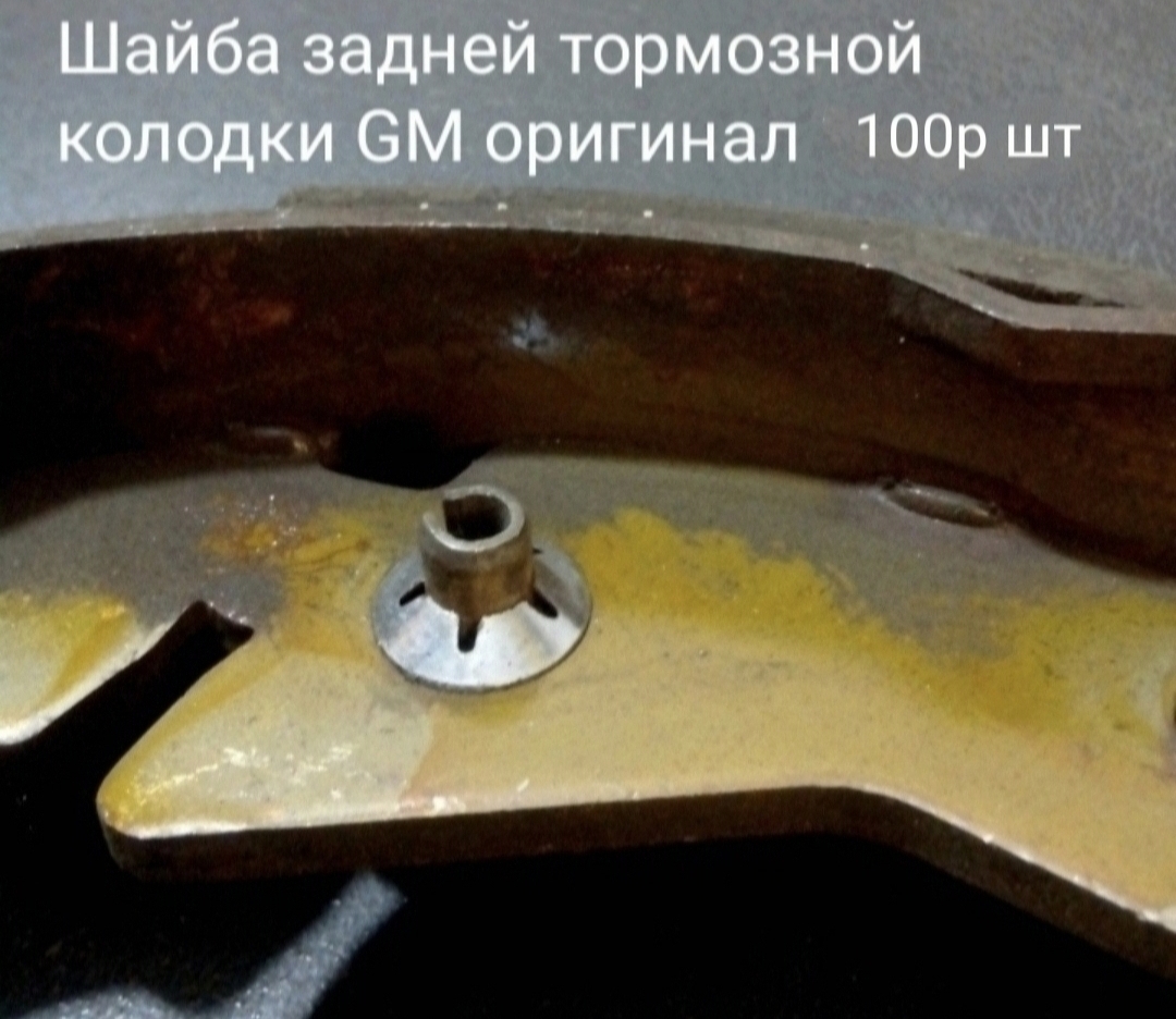Шайба-звёздочка задней тормозной колодки